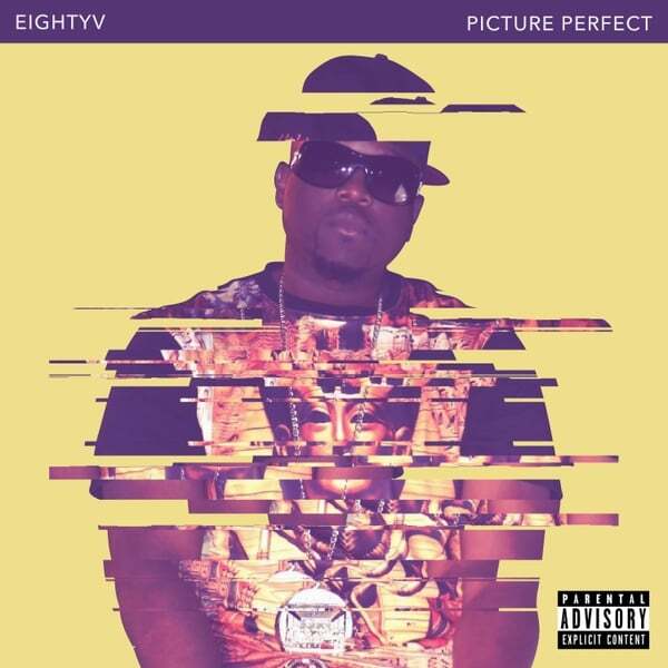 Cover art for Picture Perfect